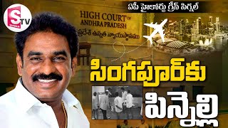 Big Relief to Pinnelli Ramakrishna Reddy in AP High Court  EVM Damage Case  SumanTvVizianagaram [upl. by Galliett181]