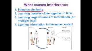 Retroactive amp Proactive Interference  VCE Psychology [upl. by Kissee]