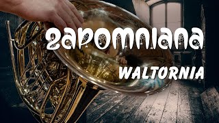 Zapomniana waltornia Czyli subiektywnie o tym czemu waltornia to nietypowy instrument [upl. by Mitzi418]