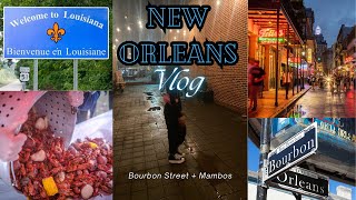 New Orleans Vlog Part 1  NOLA  Bourbon Street  Mambos  Beads  Mardi Gras [upl. by Aicinet]