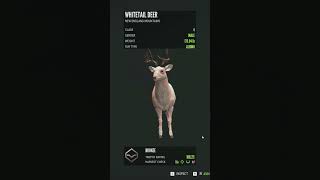 Fail My 1st Albino Whitetail thehuntercallofthewild cotw [upl. by Trilbie60]