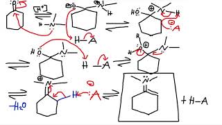 Secondary Amine FormationHydrolysis reaction  Enamine CH3NH2CH3 Reversible  Organic Chemistry [upl. by Amsirak]