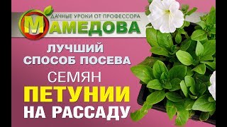 Лучший Способ Посева СЕМЯН ПЕТУНИИ на Рассаду [upl. by Adilen546]