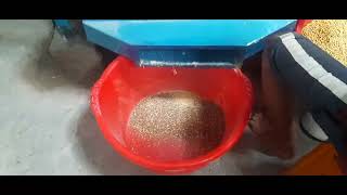 CHANA PEELING MACHINE [upl. by Emolas]