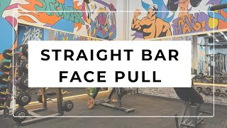 STRAIGHT BAR FACE PULL [upl. by Mattheus]