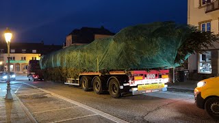 Le sapin de Noël de Strasbourg en transit à Rohrbach [upl. by Bowles]