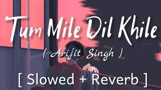 TUM MILE DIL KHILE  SLOWED AND REVERSE FULL SONG [upl. by Adnamas]