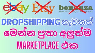 New Dropshipping Sinhala  New Selling Platforms  Ebay Etsy Alternatives  Earn Money Online [upl. by Eenimod]