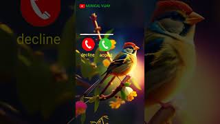 New call ringtone 2024  hindi ringtone 2024 trending Ringtone love ringtone song mobile ringtone [upl. by Aixela]