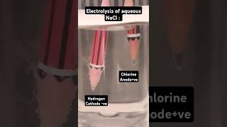 electrolysis experiment science water chemistry amazingshorts youtubeshorts [upl. by Feliks]