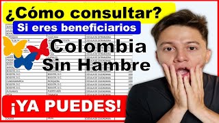 ¿Cómo consultar si es beneficiario de Colombia sin Hambre Renta Ciudadana [upl. by Wolram]