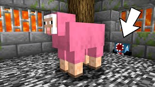 Stealing Minecrafts Most Secure Sheep [upl. by Airec]