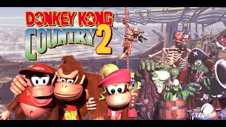 10 HOURS of Stickerbush Symphony  Donkey Kong Country 2 SNES [upl. by Ajaj6]