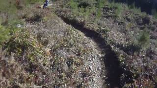 KTM bikes on a single track tahuya to clear cut [upl. by Eiboh212]