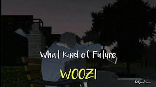 Sub Indo Woozi  What Kind of Future [upl. by Vitale728]