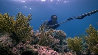 Bajau people of the Banda Sea  Rise of the Continents  Episode 2 Preview  BBC Two [upl. by Einalam]