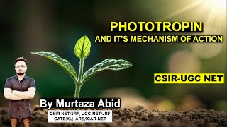 PHOTOTROPIN amp ITS MECHANISM OF ACTION  CSIRNET ICMR DBT GATEXL MSc  Sensory Photobiology [upl. by Allrud742]