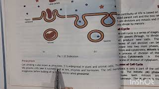 Endocytosis and Exocytosis Class 11 Federal Board Biology [upl. by Attenhoj]