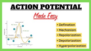 Action Potential Depolarization Repolarization Refractory Period Physiology Made Easy [upl. by Zaria581]