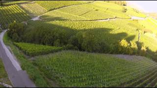 Valais Wine Trail  Savoring Switzerland [upl. by Eki885]