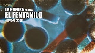 La guerra contra el fentanilo  Documental [upl. by Ajssatan]