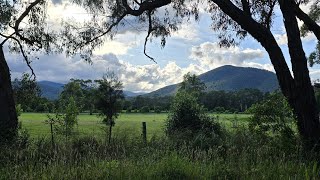 Black Spur Cycle Descent 2024 [upl. by Fabri36]