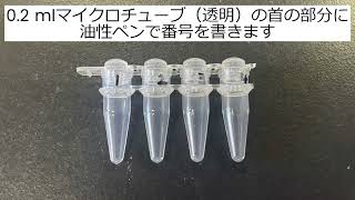 分子遺伝学実験キット［遺伝子と形質］10min版 [upl. by Pretrice]