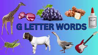 Learn Words Starting with G Toddler Words With GLetter G Words Learn New Words Vocabulary [upl. by Mathilde225]