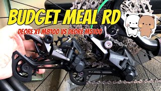 BudgetMeal RDs for MTBs Deore XT m8100 versus Deore M5100 quick comparison I 2023 [upl. by Inatsed]