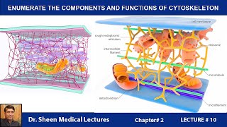 ENUMERATE THE COMPONENTS AND FUNCTIONS OF CYTOSKELETONCH 2 LEC 10 [upl. by Annaeoj]