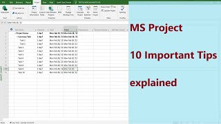 How does ms project work  10 Tips for MS Project Explained [upl. by Eedahs]