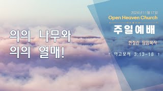 열린하늘문교회 주일예배2024년11월17일 의의 나무와 의의 열매 야고보서31318 한정란 목사 [upl. by Hirst712]