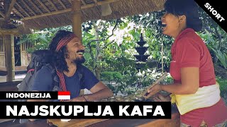 Kopi luwak the most expensive coffee in the world Bali  Indonesia [upl. by Rahas496]