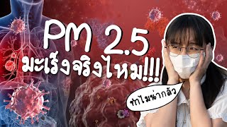 PM25 คืออะไร ทำไมน่ากลัว  Point of View x SCG Heim [upl. by Urial168]