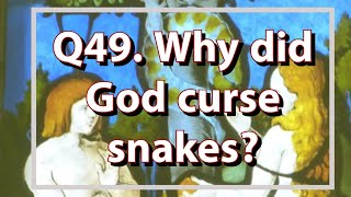 Q49 Why did God curse snakes Reuploaded [upl. by Bevvy]