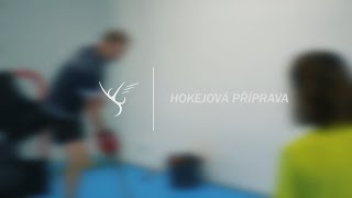 Hokejová příprava  Vita Sana [upl. by Baxter125]