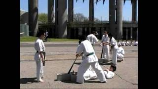 World Oyama Karate Matsumoto Dojo 42509 Sakura Matsuri Demonstration [upl. by Zaid]