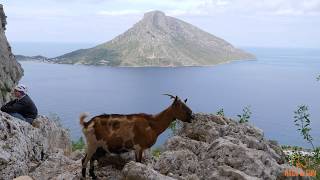 Kalymnos Climbing Holiday with Rock and Sun [upl. by Halonna782]