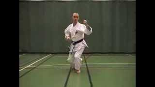 18 KATA SHORINRYU Matsubayashi Wanshu [upl. by Evslin]