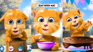 Talking ginger  cake dun  candles fun  enjoyment  happy mood  talkingcat  talkingtom [upl. by Hughett312]