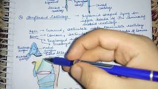 Larynx Arytenoid Cartilage Easy Explaination Lec6 [upl. by Addam]