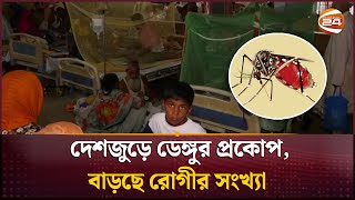 দেশজুড়ে ডেঙ্গুর প্রকোপ বাড়ছে রোগীর সংখ্যা  Dengue Situation  Channel 24 [upl. by Eemia]