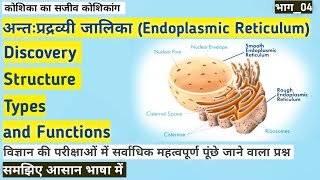 Endoplasmic Reticulum अन्तः प्रद्रव्यी जालिकाDiscovery StructureType and function Part04 [upl. by Aicirtap44]