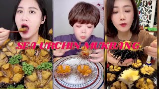 Best Sea Urchin Mukbang  UNI  Sea Urchin  Mukbang  ASMR [upl. by Weisbart]