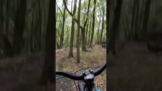 😏 mtb ebikestyle bicycle downhill outdoors woods backstreetboys closecall [upl. by Ztnarf]