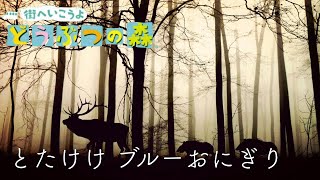 【 眠れる音楽 】焚き火の音 と 「とたけけ ブルーおにぎり （街へいこうよ どうぶつの森）」ピアノ  癒しピアノ 1時間  睡眠 BGM【ピアノ演奏】 [upl. by Eidurt]