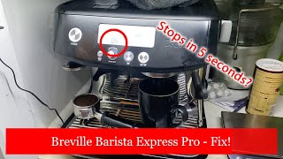 Breville Barista Express Pro  Stops in 5 seconds [upl. by Nagar566]