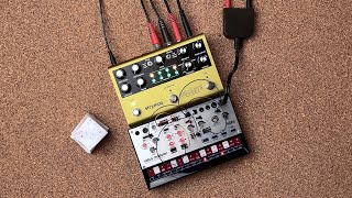 Korg Volca Modular  Strymon Volante  Droning [upl. by Weiss]