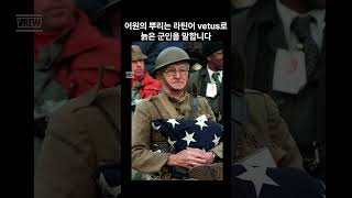 50 Veteran 베테랑2 늙은 군인의 부활 어원 영단어 history 영화 [upl. by Hcirdla361]