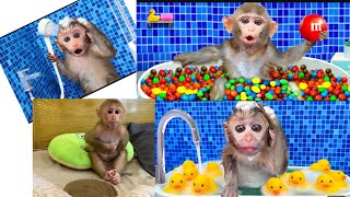 Cute Monkey  Monkey bon bon  Bathroom on monkey  monkey cute [upl. by Blane]